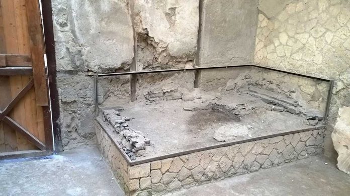 ritrovati frammenti di cervello durante gli scavi nell'antica Ercolano