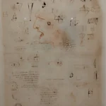 Il Codice Atlantico di Leonardo da Vinci arriva a Napoli: una mostra imperdibile a Santa Chiara Foglio originale del Codice Atlantico di Leonardo da Vinci esposto nella mostra di Napoli al Chiostro di Santa Chiara