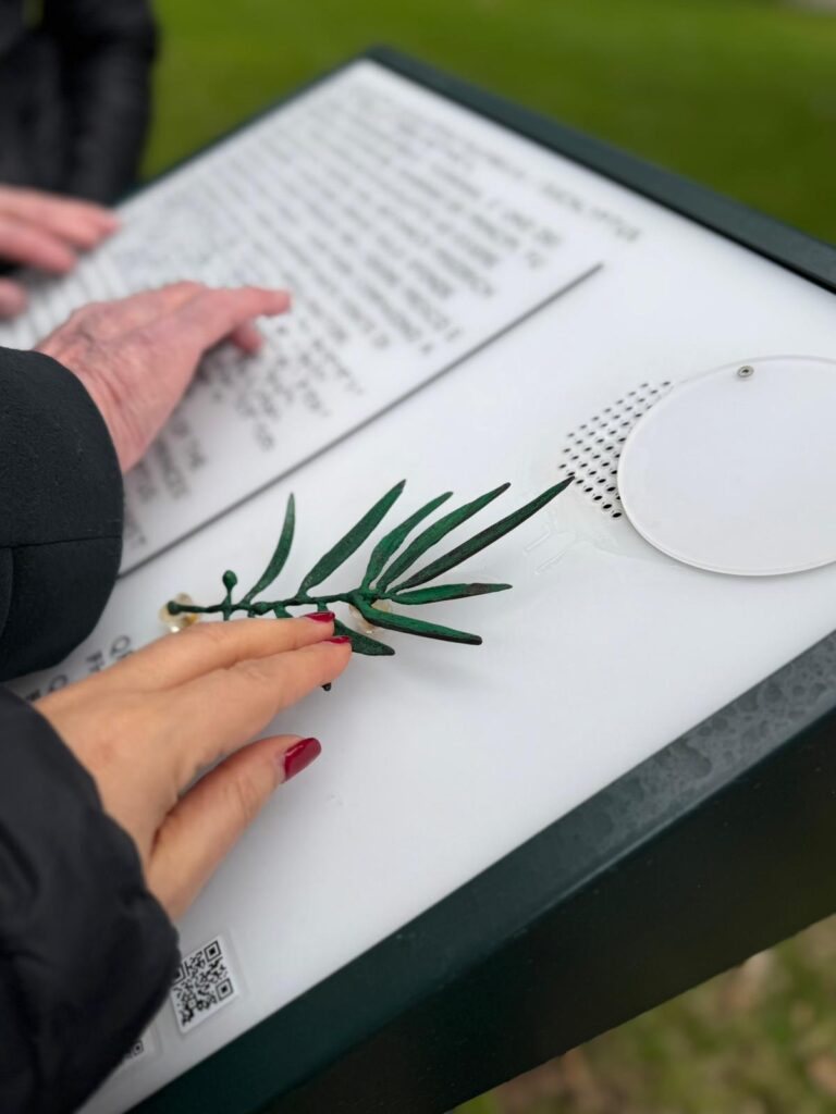 L'accessibilità al Museo e Real Bosco di Capodimonte: un viaggio sensoriale nel Giardino dei Principi 1 Primo piano di una mano che tocca la riproduzione in bronzo di una foglia di eucalipto su un pannello sensoriale inclusivo del Museo di Capodimonte.