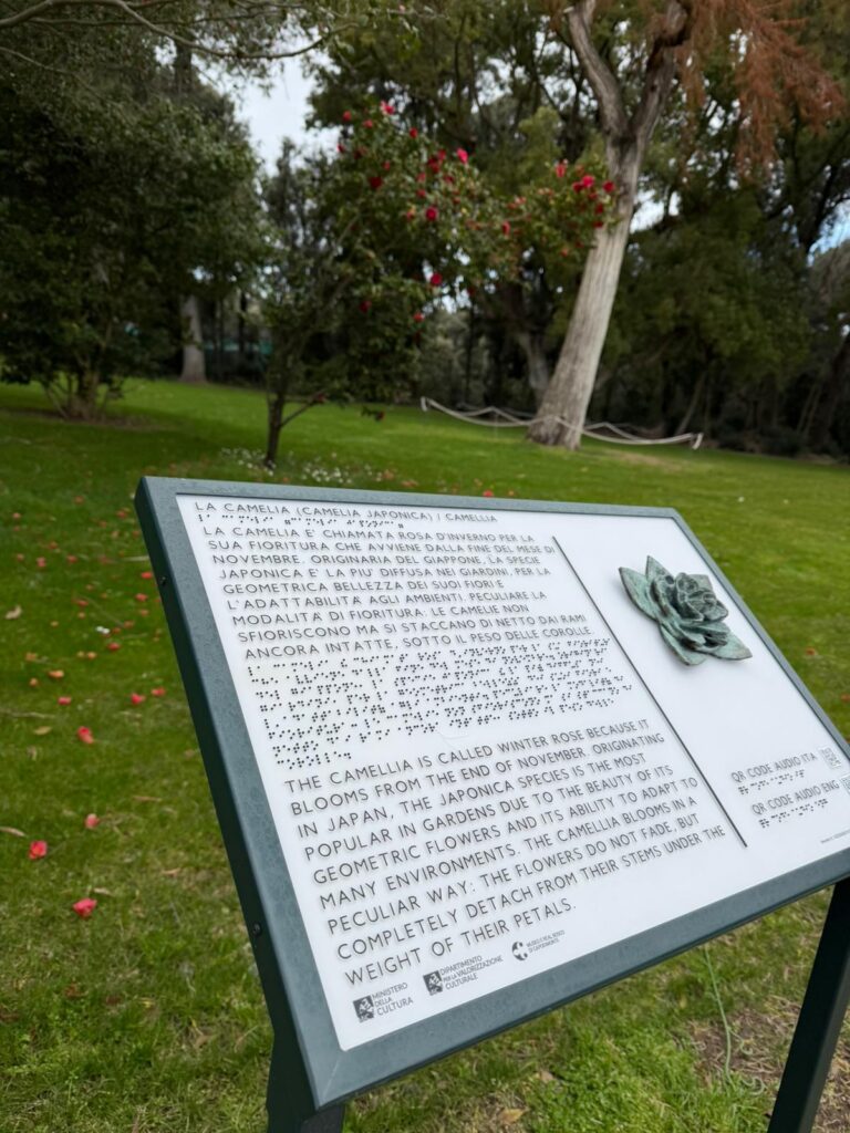L'accessibilità al Museo e Real Bosco di Capodimonte: un viaggio sensoriale nel Giardino dei Principi 2 Percorso botanico sensoriale camelia Capodimonte